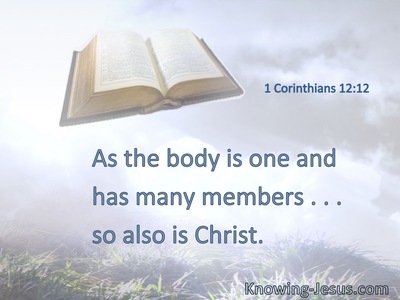 As the body is one and has many members . . . so also is Christ.